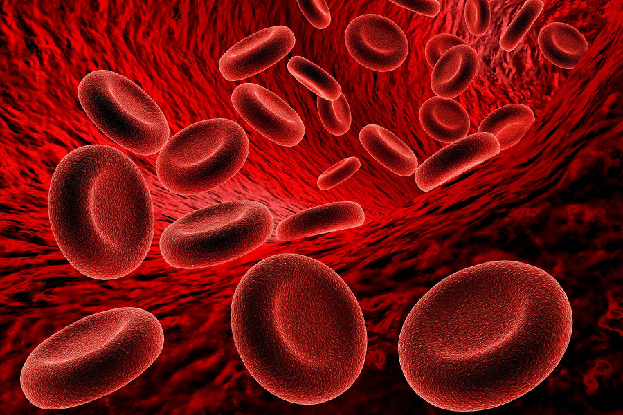 Emoglobina “Vanvitelli”: nuova scoperta per curare l’anemia cronica